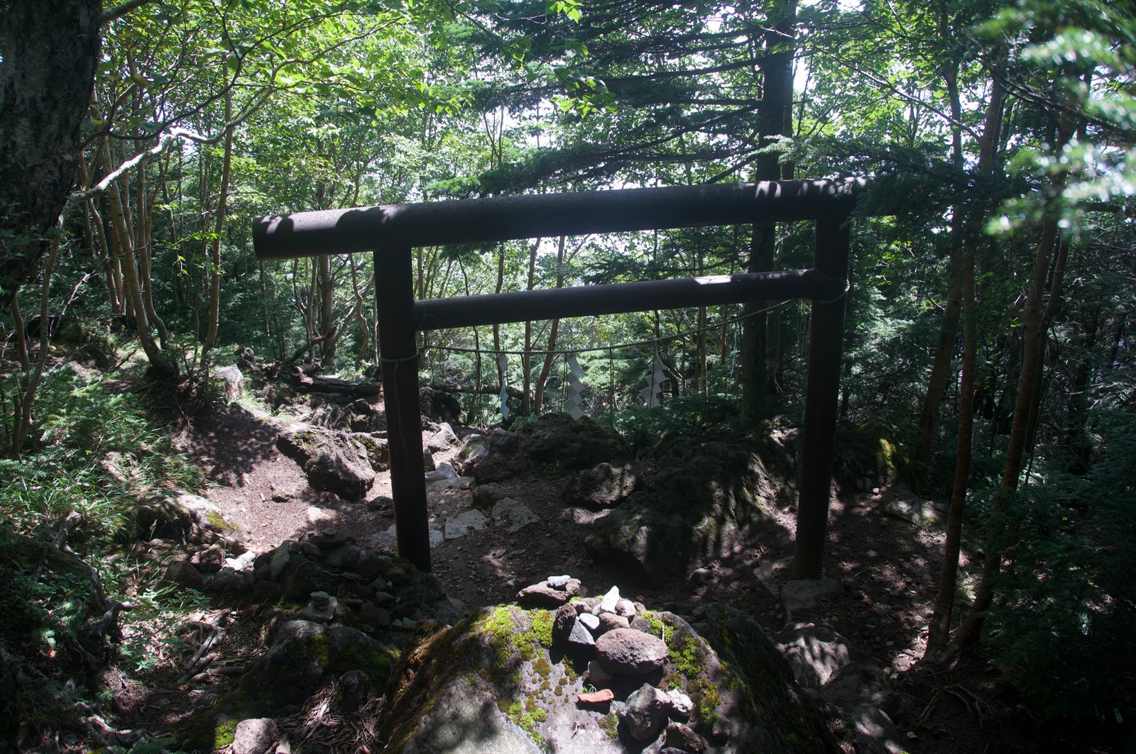 Torii gate on the Mount Nantai hiking trail, Nikko Japan
