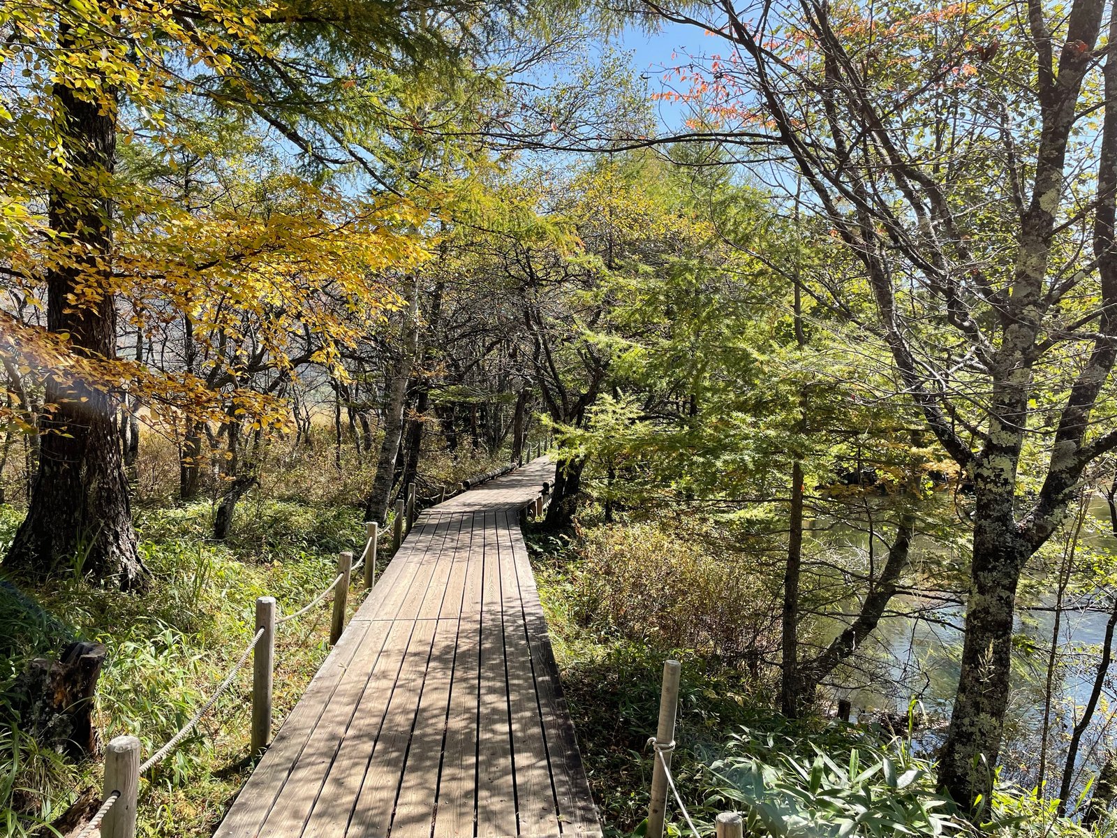 Walking the Senjogahara boardwalk beside the Yukawa (Yu River), Nikko Japan