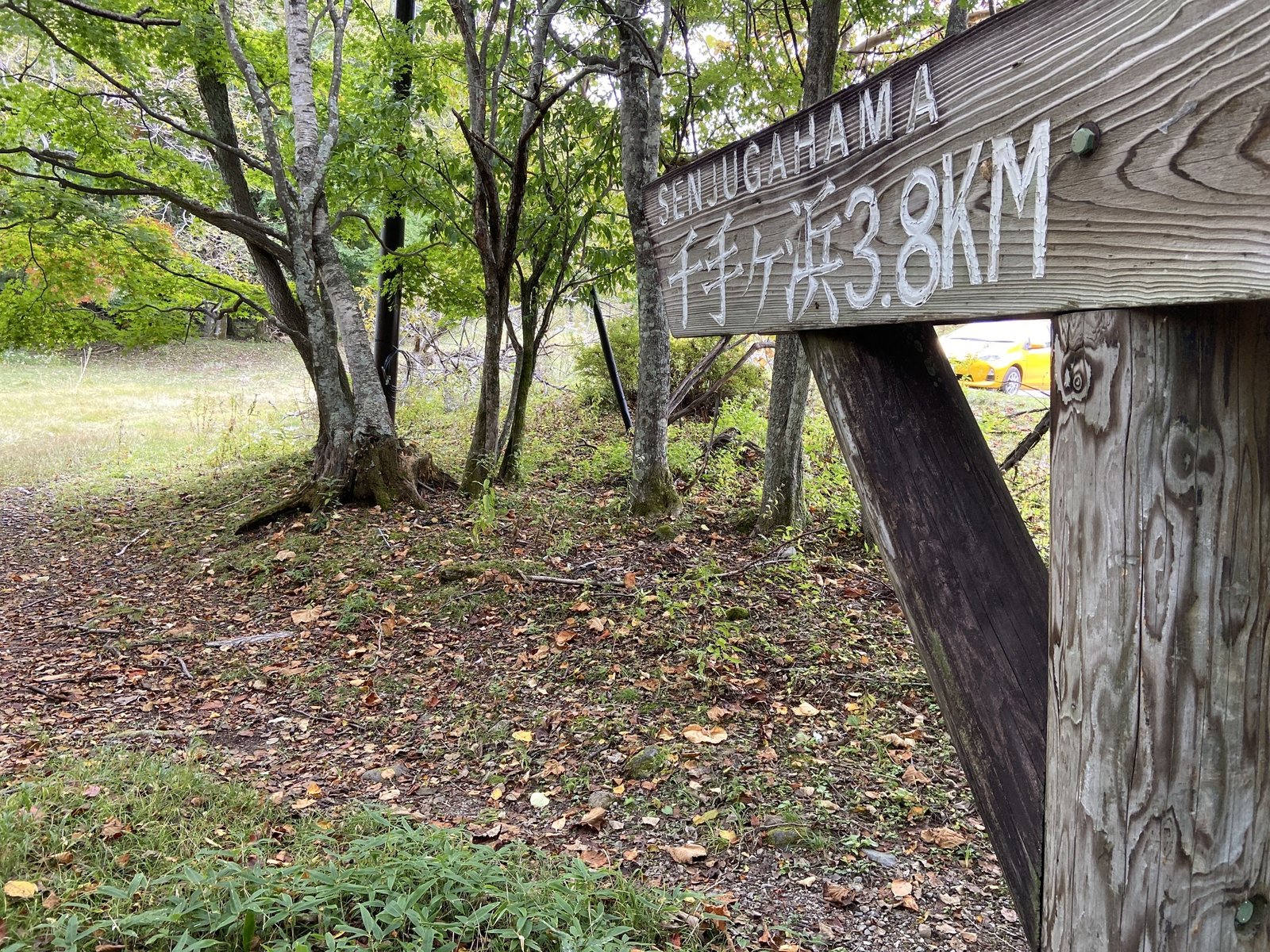 Wooden trail marker reading Senjugahama 3.8 km, Lake Chuzenji north shore trail, Nikko Japan