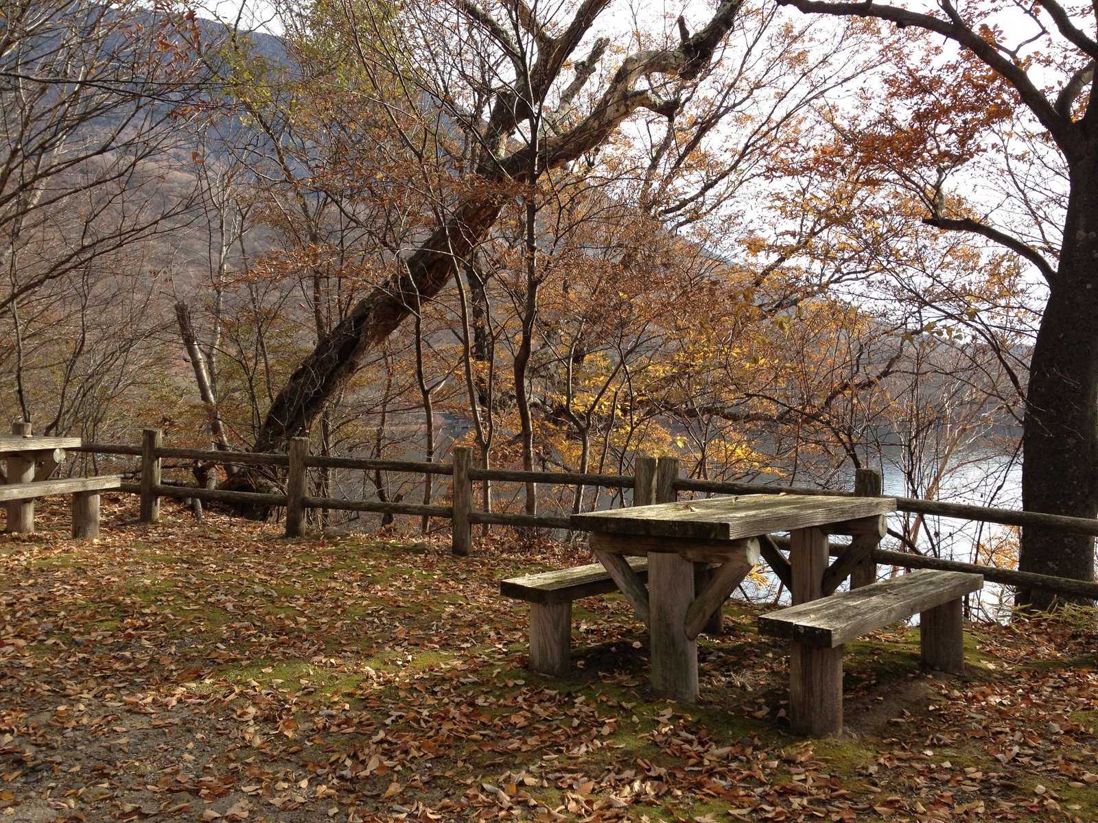 Picnic tables above the lakeshore approaching Shobugahama, Lake Chuzenji north shore trail, Nikko Japan