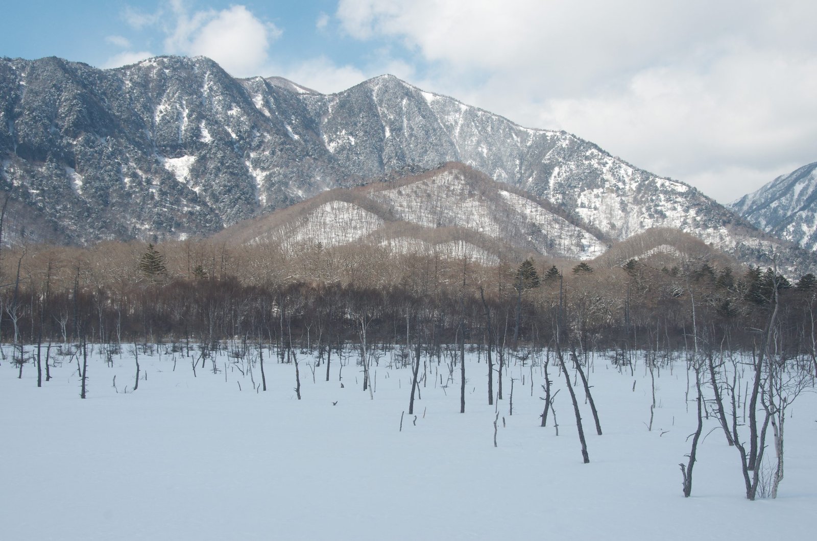 The snow-covered Senjogahara plateau under winter light, Nikko Japan