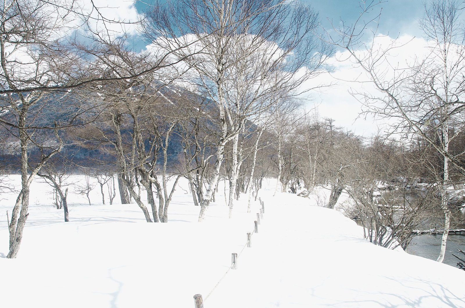 Snow-covered trail alongside the Yukawa, Senjogahara, Nikko Japan