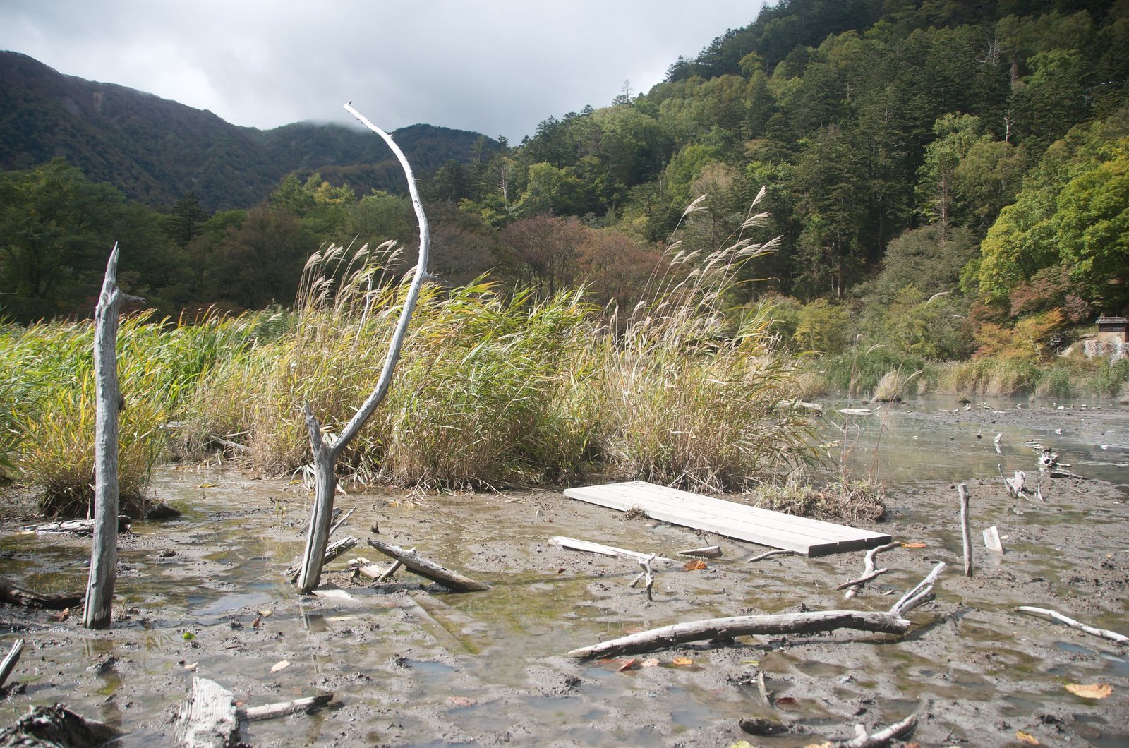 Yumoto Onsen source field with wooden vent structures, Nikko Japan